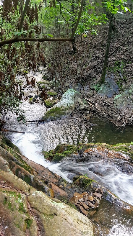 Nature's Tranquil Escape: Pond Mountain Wilderness outdoor detail