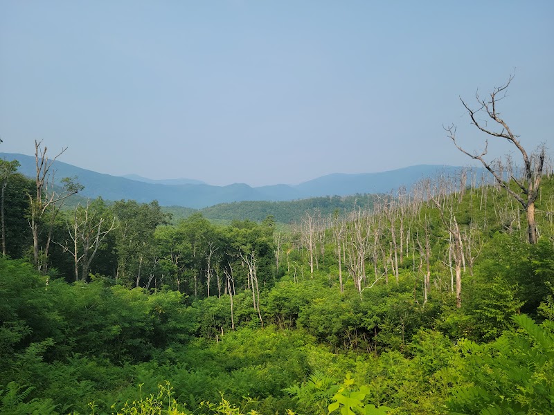 Roaring Fork: Nature's Hidden Wonder - Roaring Fork