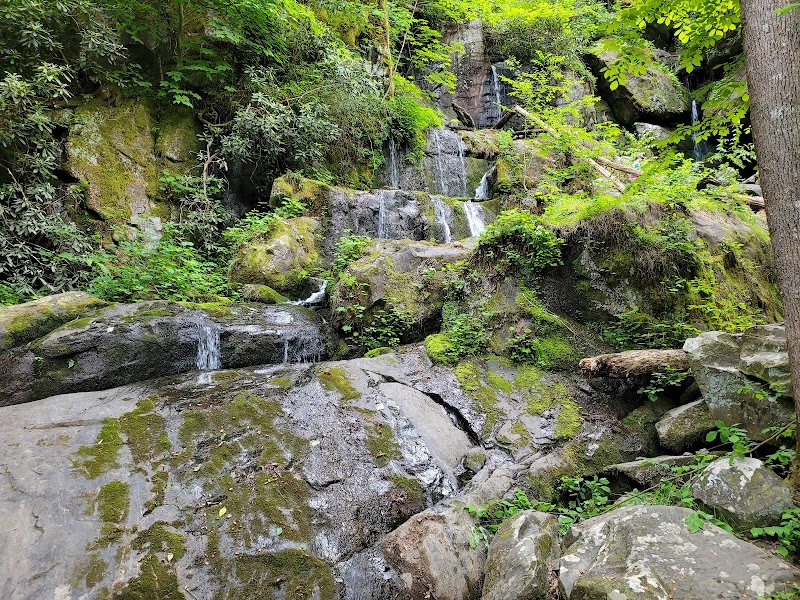Roaring Fork: Nature's Hidden Wonder - Roaring Fork