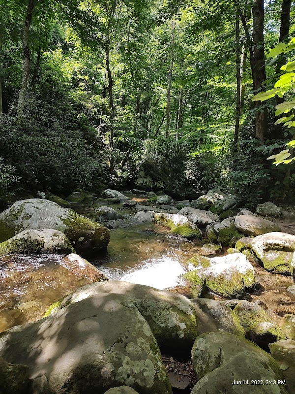 Roaring Fork: Nature's Hidden Wonder - Roaring Fork