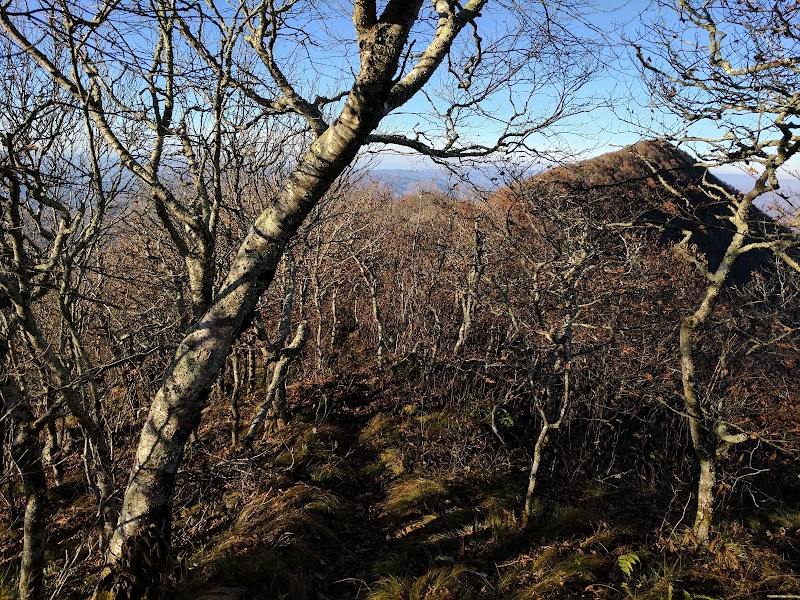 Majestic Views from Snake Mountain - Snake Mountain