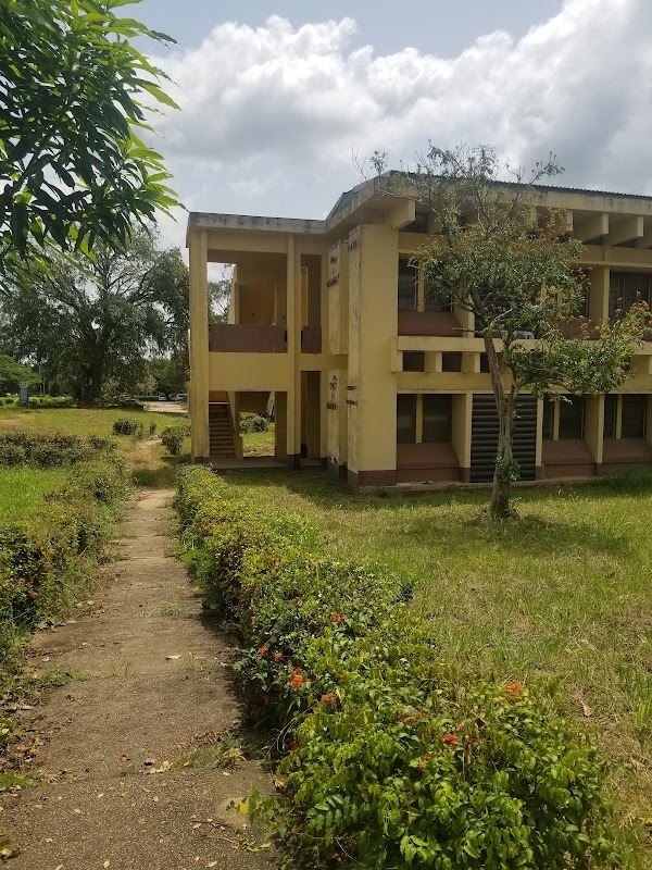 Academic Exploration at the University of Ilorin - University of Ilorin