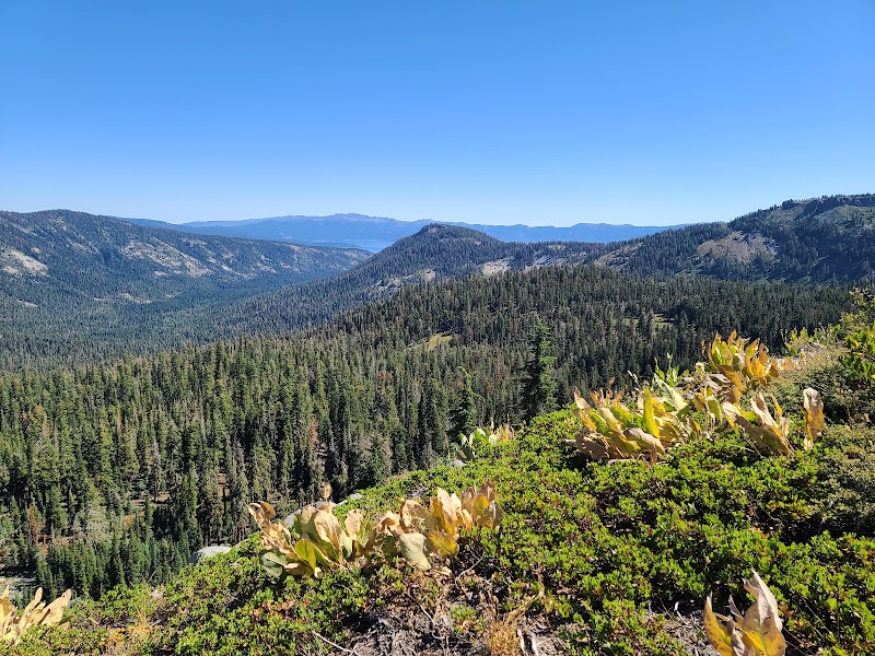 Trekking Along the Pacific Crest - Pacific Crest National Scenic Trail