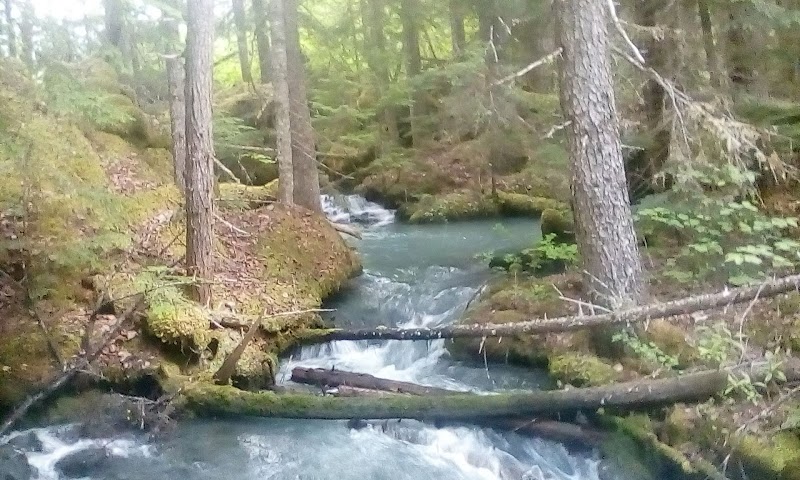 Terrace, BC adventures