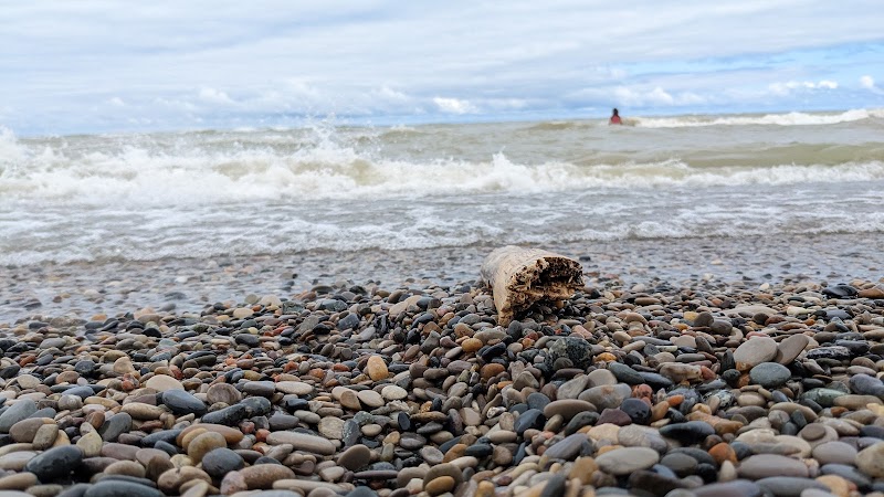 Discovering Nature's Tranquility: Pinery Provincial Park surrounding landscape