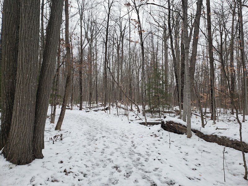 Discover Mark S. Burnham Provincial Park - Mark S. Burnham Provincial Park
