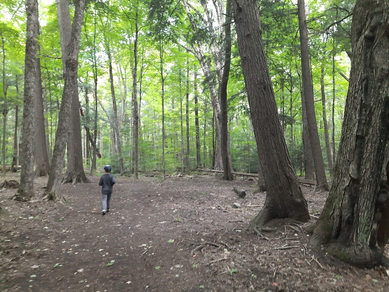 Discover Mark S. Burnham Provincial Park - Mark S. Burnham Provincial Park