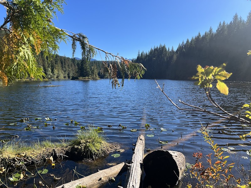 Nature's Tranquil Oasis: Alice Lake Provincial Park - Alice Lake Provincial Park