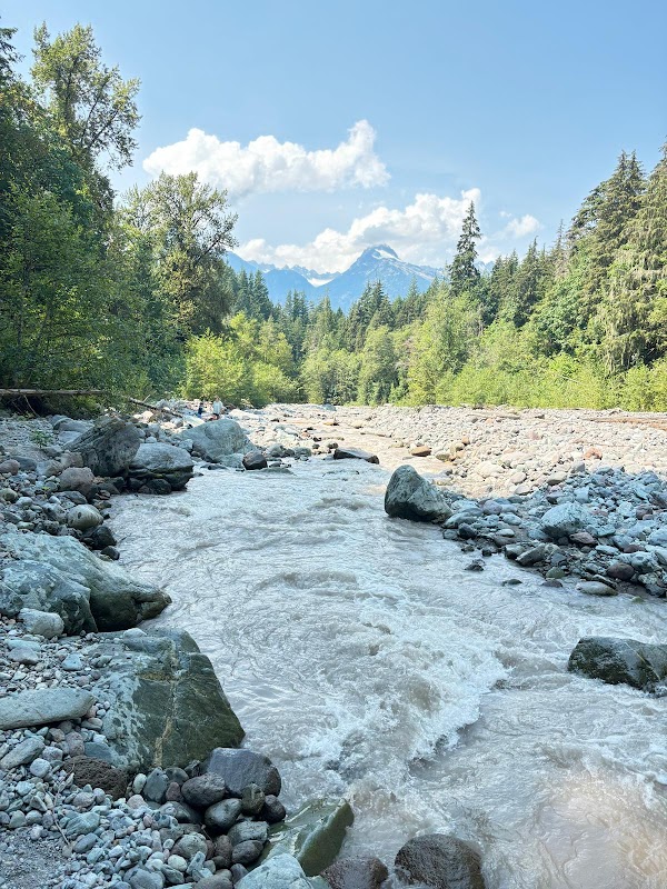 Nature's Tranquil Oasis: Alice Lake Provincial Park surrounding landscape