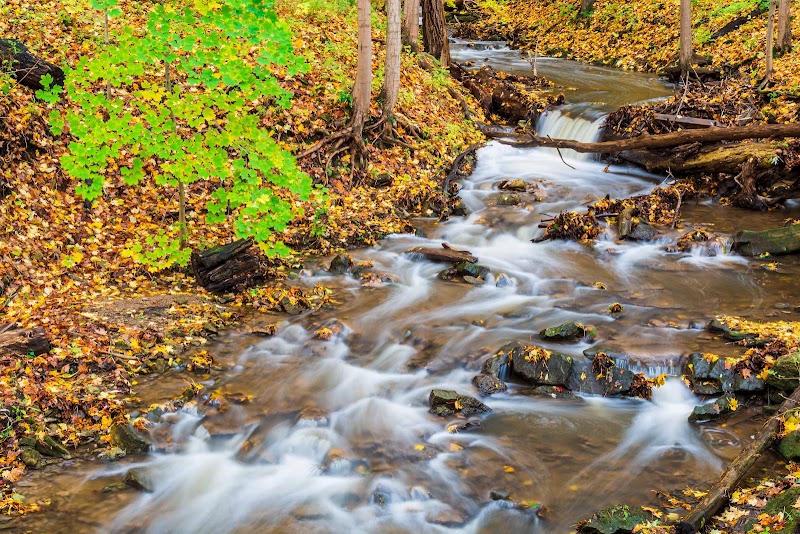 Cascading Wonders at Sherman Falls outdoor detail