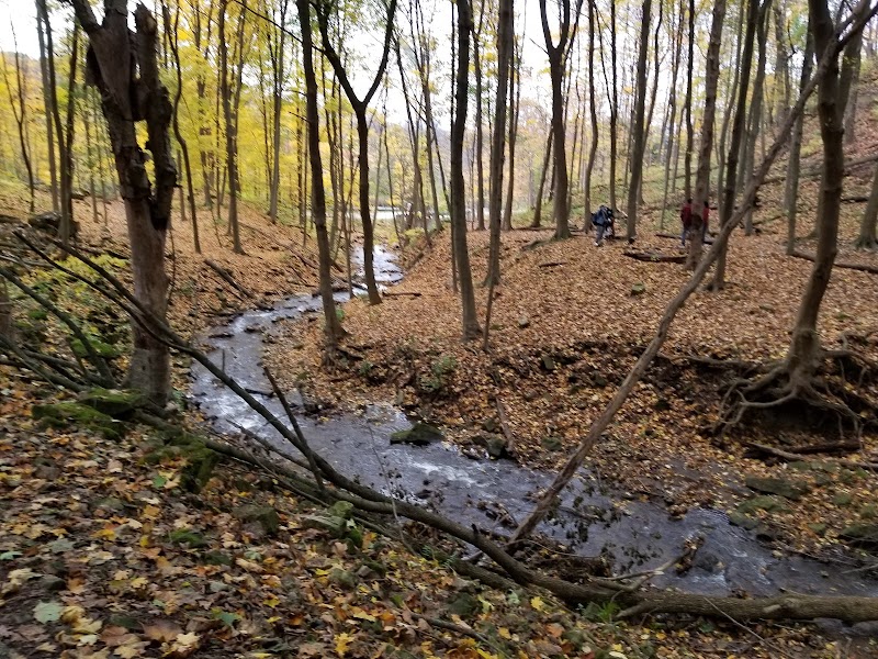 Cascading Wonders at Sherman Falls surrounding landscape