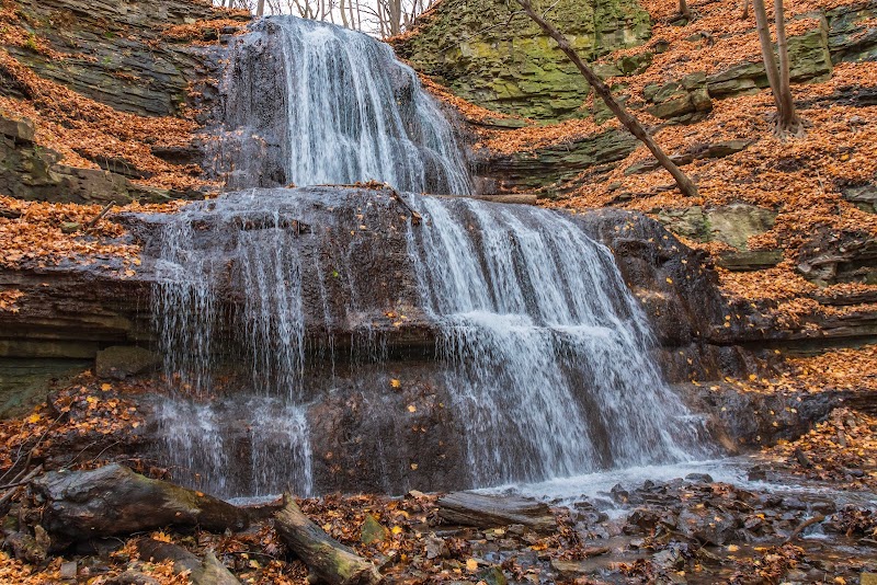 Dundas Valley Conservation Area adventures