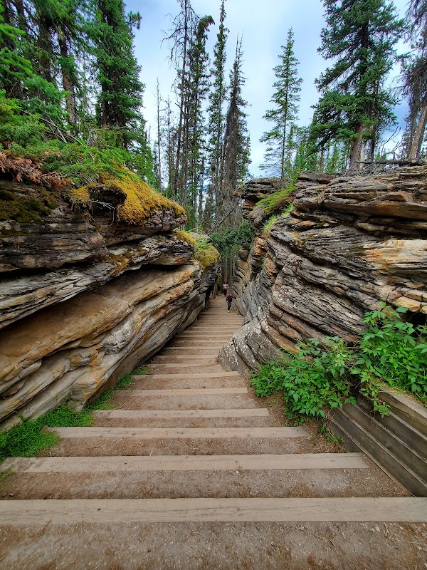 Majestic Waters of Athabasca Falls - Athabasca Falls