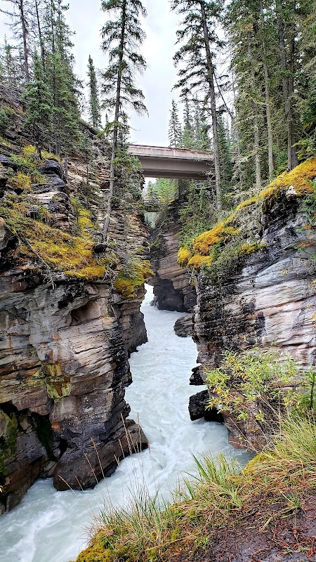 Majestic Waters of Athabasca Falls - Athabasca Falls