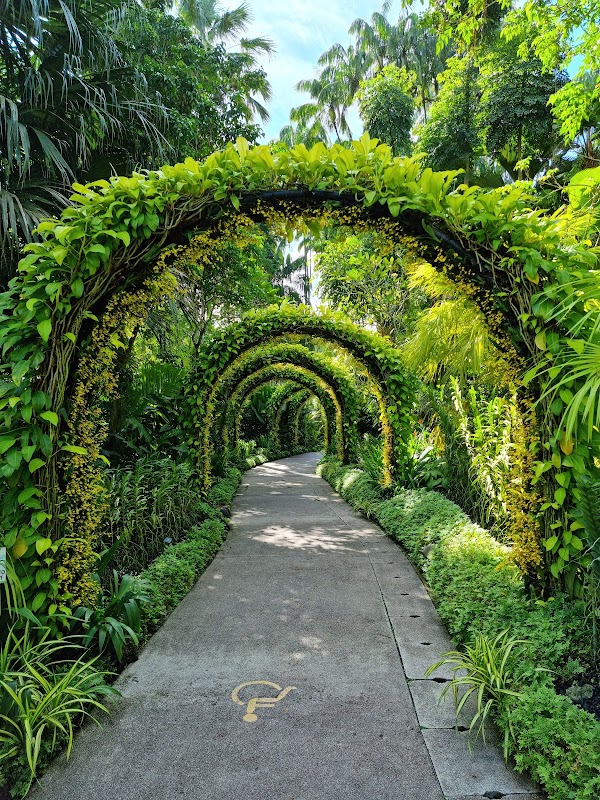 Gardens of Tranquility: Singapore Botanic Gardens - Singapore Botanic Gardens