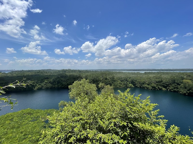 Nature's Playground: Pulau Ubin - Pulau Ubin