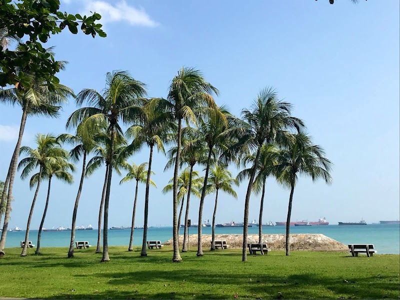 Seaside Serenity at East Coast Park - East Coast Park