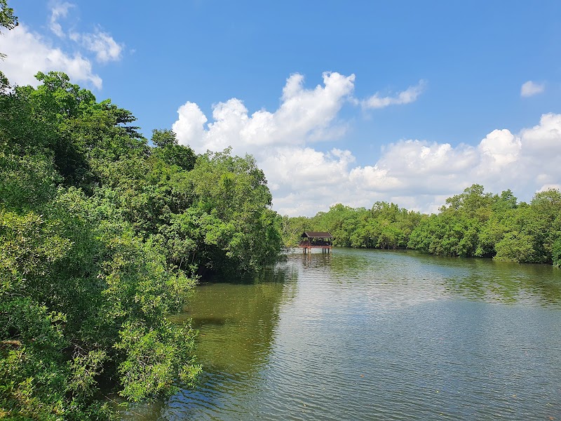 Wildlife Adventure at Sungei Buloh Wetland Reserve - Sungei Buloh Wetland Reserve