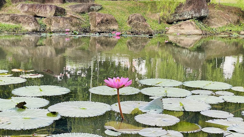Urban Oasis: Bishan-Ang Mo Kio Park - Bishan-Ang Mo Kio Park