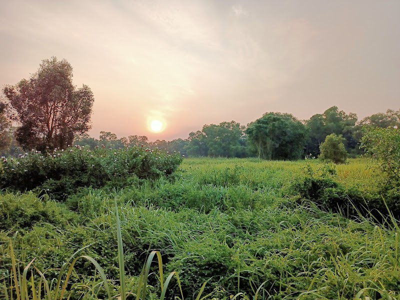Eco Oasis: Tampines Eco Green - Tampines Eco Green
