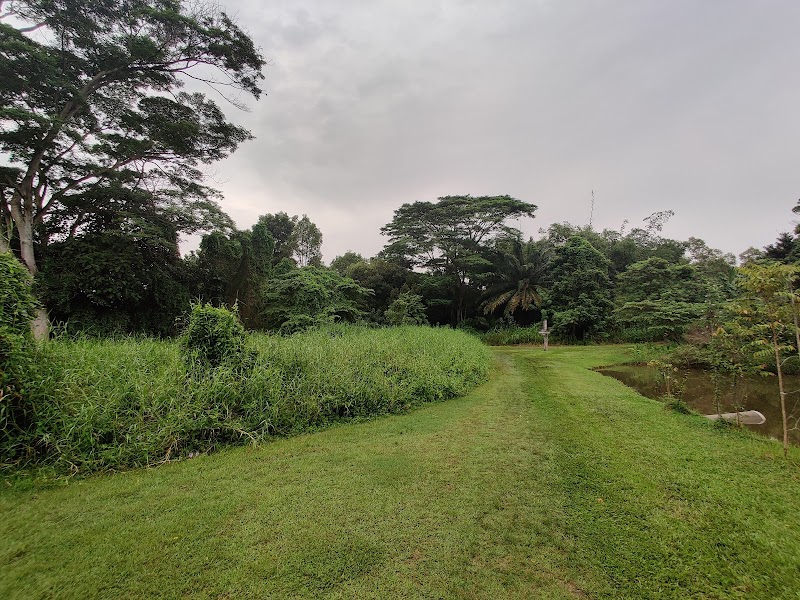 Eco Oasis: Tampines Eco Green - Tampines Eco Green