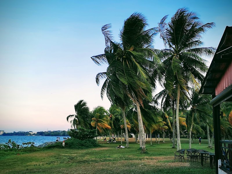 Urban Oasis: Pasir Ris Town Park - Pasir Ris Town Park