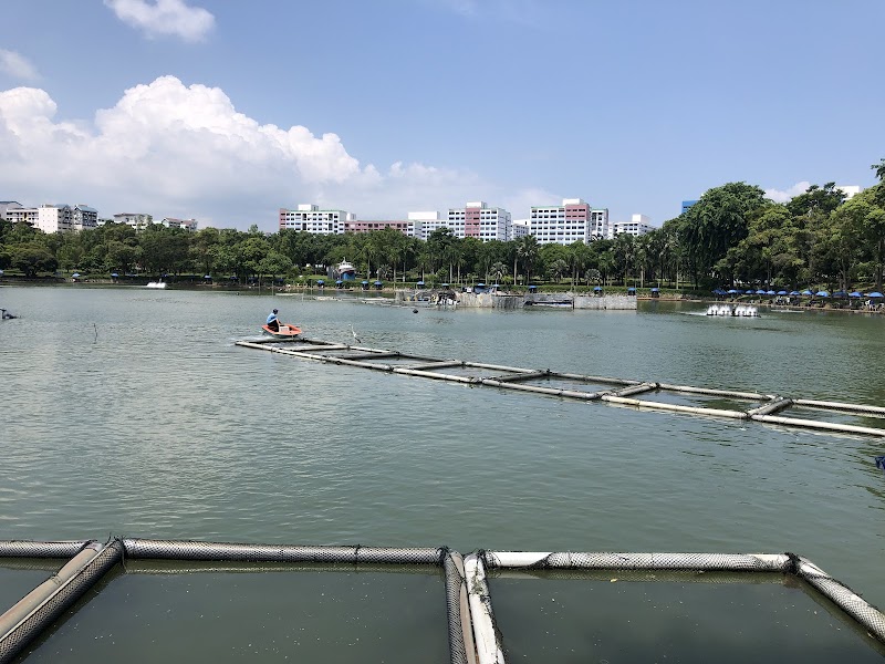 Pasir Ris Town Park adventures