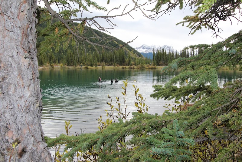 Discover the Majesty of Mount Alberta - Mount Alberta