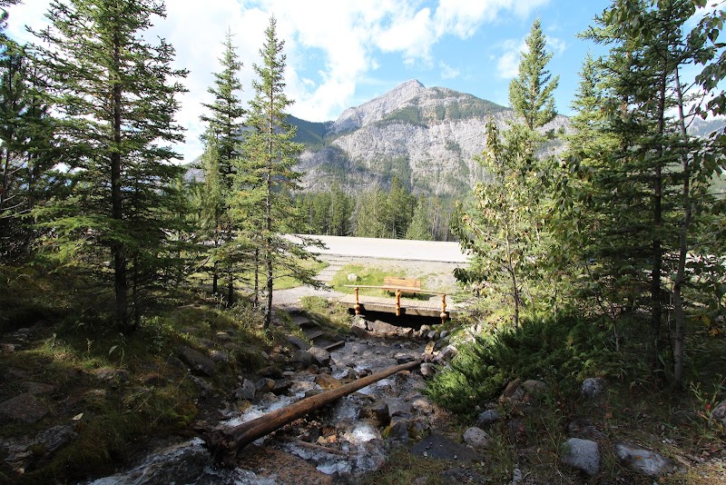 Discover the Majesty of Mount Alberta - Mount Alberta