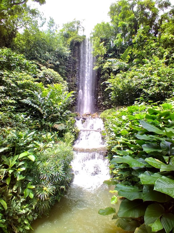 Birds & Nature at Jurong Bird Park - Jurong Bird Park