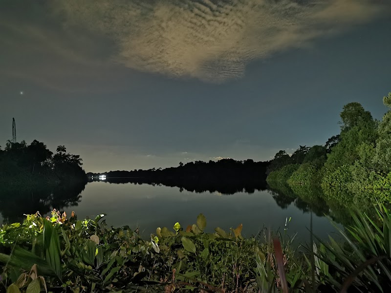 Experience Night Wonders at Singapore's Night Safari - Night Safari