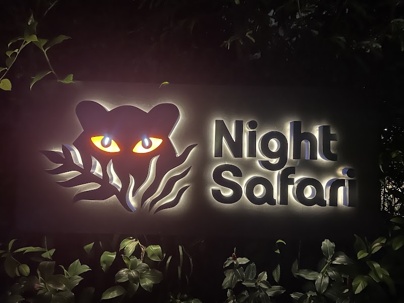 Experience Night Wonders at Singapore's Night Safari - Night Safari