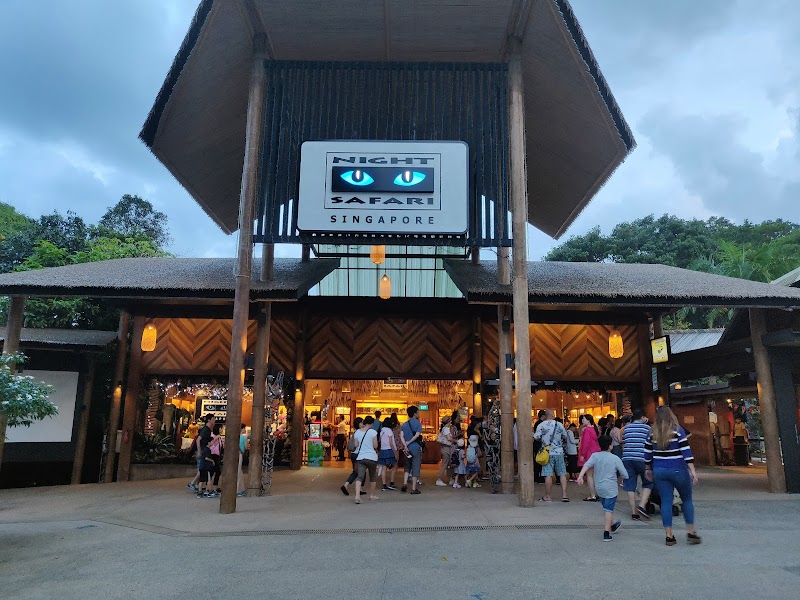 Experience Night Wonders at Singapore's Night Safari - Night Safari