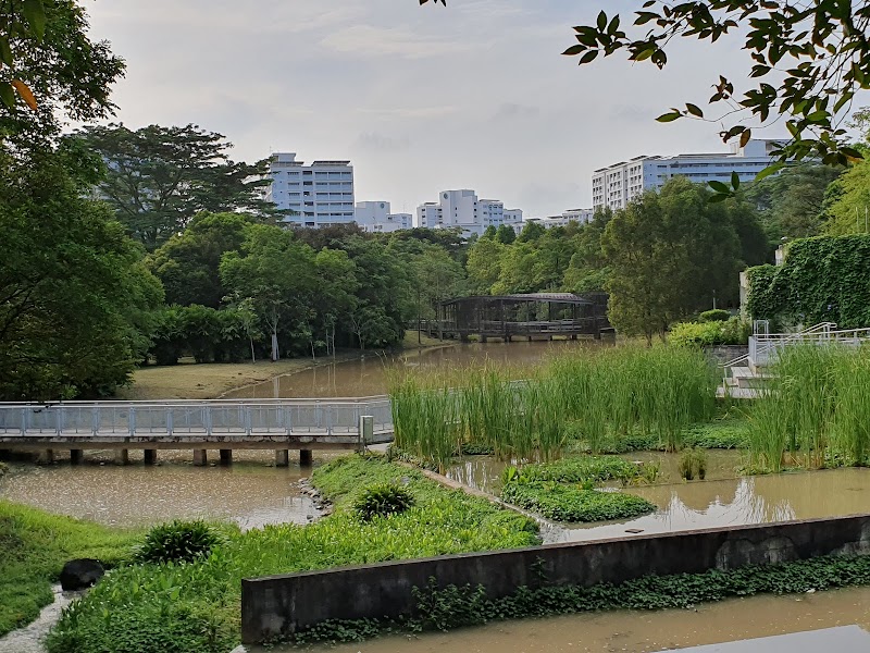 Nature's Retreat: Jurong Eco-Garden - Jurong Eco-Garden