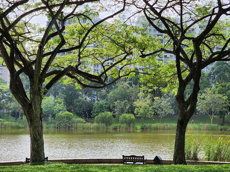 Tranquil Retreat: Punggol Park, Singapore - Punggol Park