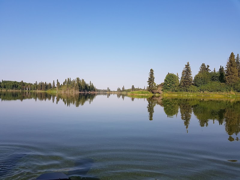 The Wild Serenity of Elk Island National Park - Elk Island National Park