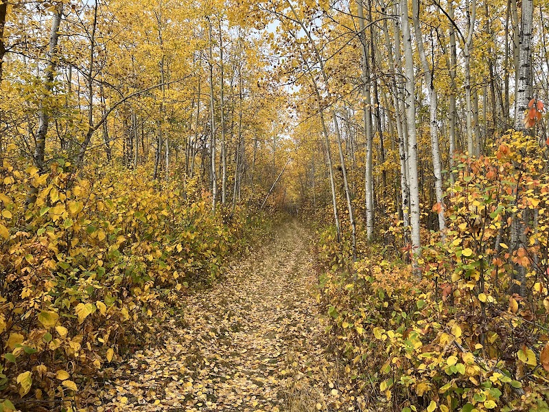 The Wild Serenity of Elk Island National Park - Elk Island National Park