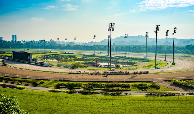 Horse Racing Wonders at Singapore Turf Club - Singapore Turf Club