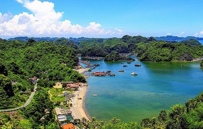 Nature's Paradise: Cát Bà Island - Cát Bà Island