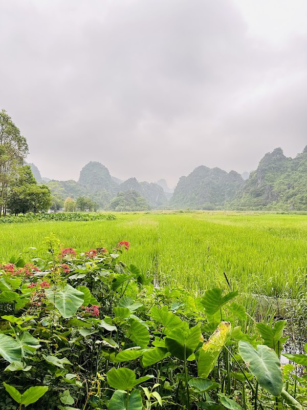 Scenic Wonders of Tam Coc - Bich Dong - Tam Coc - Bich Dong