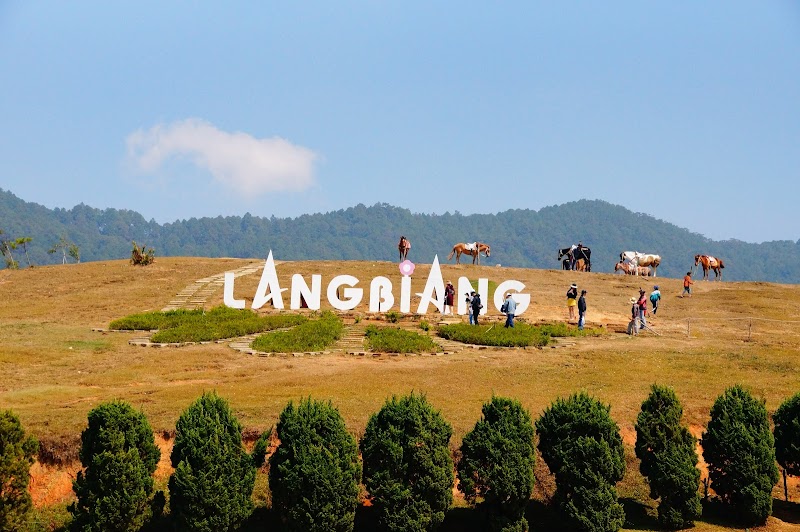 Lang Bian Peaks – A Natural Wonderland in Lam Dong - Lang Bian
