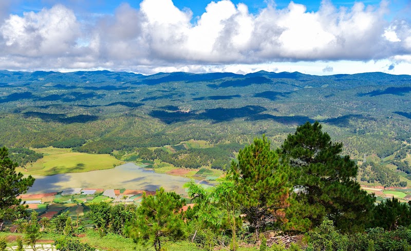 Lang Bian Peaks – A Natural Wonderland in Lam Dong - Lang Bian