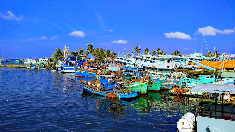 Tropical Oasis: Phú Quốc - Phú Quốc