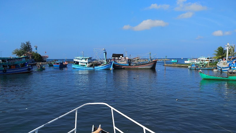 Tropical Oasis: Phú Quốc - Phú Quốc