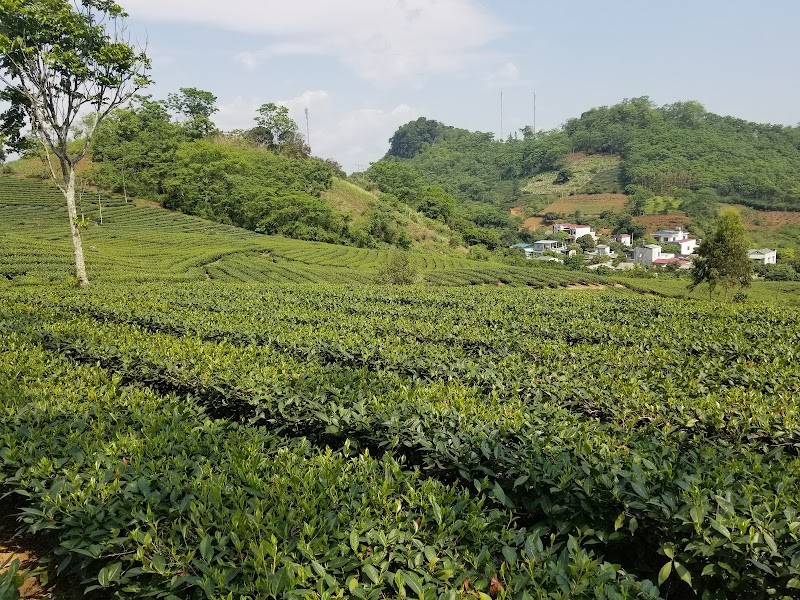 The Natural Wonders of Yên Bái - Yên Bái