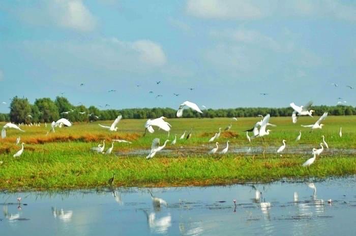 Nature's Oasis: Tram Chim National Park - Tram Chim National Park