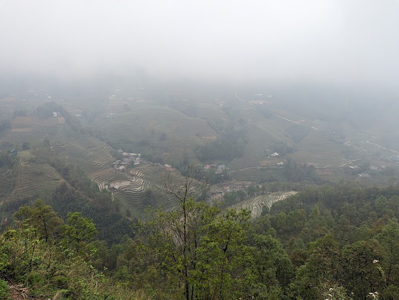 Serene Terraces of Ta Phin: A Journey Through Sa Pa's Rice Fields - Terraced Rice Fields