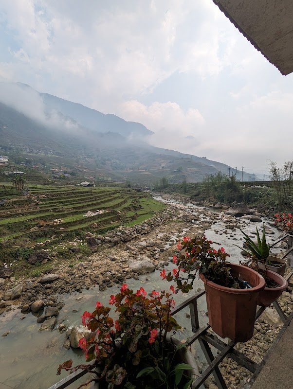 Serene Terraces of Ta Phin: A Journey Through Sa Pa's Rice Fields - Terraced Rice Fields