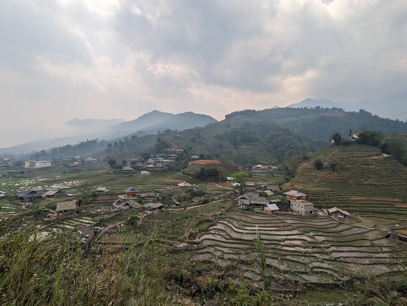 Serene Terraces of Ta Phin: A Journey Through Sa Pa's Rice Fields - Terraced Rice Fields