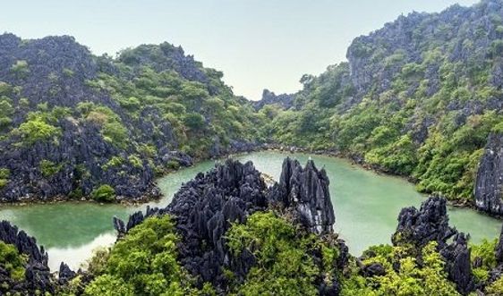Wonder of Bai Tu Long: Nature's Hidden Gem - Bai Tu Long National Park